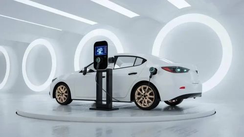 2024年新能源汽車 火爆銷售背后的挑戰(zhàn)與充電信息化發(fā)展前景